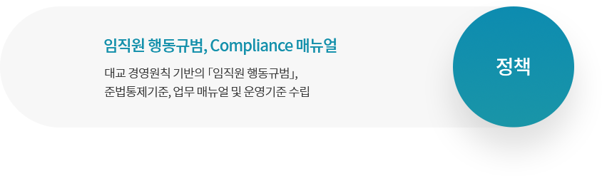 정책 임직원 행동규범, Compliance 매뉴얼 대교 경영원칙 기반의 「임직원 행동규범」, 준법통제기준, 업무 매뉴얼 및 운영기준 수립