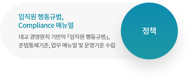 정책 임직원 행동규범, Compliance 매뉴얼 대교 경영원칙 기반의 「임직원 행동규범」, 준법통제기준, 업무 매뉴얼 및 운영기준 수립